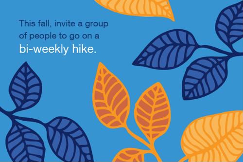 This fall, invite a group of people to go on a bi-weekly hike.
